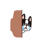 フレンチブルドッグ ぶー（パイド）（個別スタンプ：22）