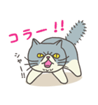 エキゾチックさん（個別スタンプ：18）