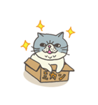 エキゾチックさん（個別スタンプ：34）