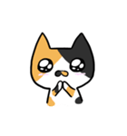 Cat Together（個別スタンプ：3）