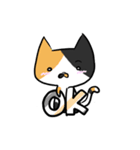 Cat Together（個別スタンプ：9）
