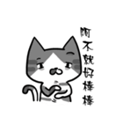 Cat Together（個別スタンプ：13）