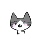 Cat Together（個別スタンプ：14）