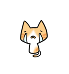 Cat Together（個別スタンプ：19）