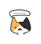 Cat Together（個別スタンプ：24）