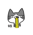 Cat Together（個別スタンプ：28）