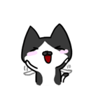 Cat Together（個別スタンプ：35）