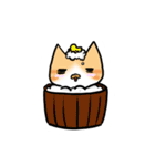 Cat Together（個別スタンプ：37）