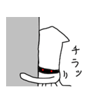 squidさん（個別スタンプ：20）
