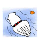 squidさん（個別スタンプ：23）