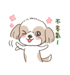 Sarah ＆ King (Lovely Shih Tzu)（個別スタンプ：9）