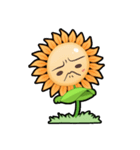 Sunflower:Shiang（個別スタンプ：12）