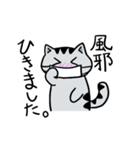 サバトラにゃんこ（個別スタンプ：12）