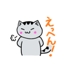 サバトラにゃんこ（個別スタンプ：16）