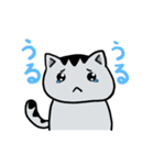 サバトラにゃんこ（個別スタンプ：40）