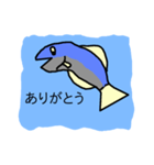 さかなちゃん（個別スタンプ：17）