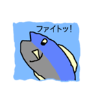 さかなちゃん（個別スタンプ：19）