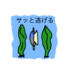 さかなちゃん（個別スタンプ：33）