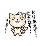 見習い猫の日常 (1)（個別スタンプ：13）