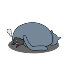 Fat Cat and Kitten（個別スタンプ：3）