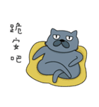 Fat Cat and Kitten（個別スタンプ：8）