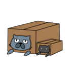 Fat Cat and Kitten（個別スタンプ：11）