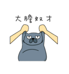 Fat Cat and Kitten（個別スタンプ：13）