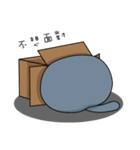 Fat Cat and Kitten（個別スタンプ：14）