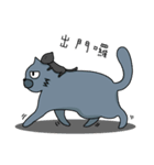Fat Cat and Kitten（個別スタンプ：15）