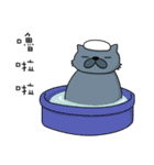 Fat Cat and Kitten（個別スタンプ：22）