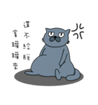 Fat Cat and Kitten（個別スタンプ：23）