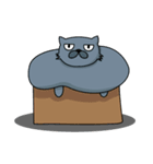Fat Cat and Kitten（個別スタンプ：30）