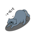 Fat Cat and Kitten（個別スタンプ：36）