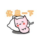 White and pink cat everyday（個別スタンプ：34）