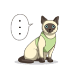 LodChong the siamese cat（個別スタンプ：3）