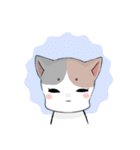 あざといにゃんこ（個別スタンプ：11）