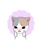 あざといにゃんこ（個別スタンプ：15）