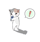 あざといにゃんこ（個別スタンプ：22）