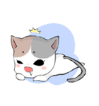 あざといにゃんこ（個別スタンプ：31）