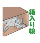 ココにゃんこ（個別スタンプ：35）