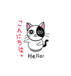Muji black ＆ white cow cat（個別スタンプ：2）