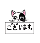 Muji black ＆ white cow cat（個別スタンプ：6）