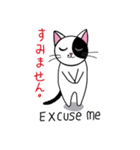 Muji black ＆ white cow cat（個別スタンプ：11）