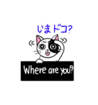 Muji black ＆ white cow cat（個別スタンプ：18）