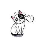 Muji black ＆ white cow cat（個別スタンプ：20）