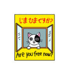 Muji black ＆ white cow cat（個別スタンプ：27）