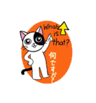 Muji black ＆ white cow cat（個別スタンプ：34）