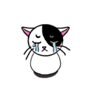 Muji black ＆ white cow cat（個別スタンプ：38）