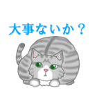 猫の日常 みゅう時々…？（個別スタンプ：27）