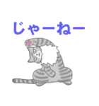 猫の日常 みゅう時々…？（個別スタンプ：29）